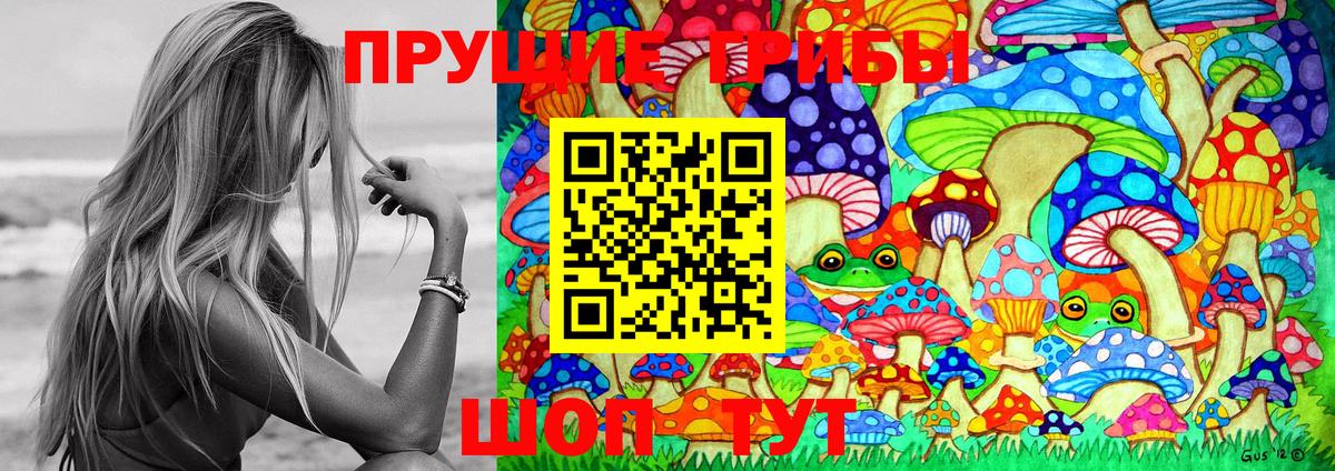 Псилоцибиновые грибы Psilocybe Кострома