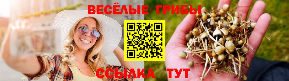 Псилоцибиновые грибы прущие грибы  Галлюциногенные грибы ЛСД  цены наркотик  Вход с VPN  Кострома 