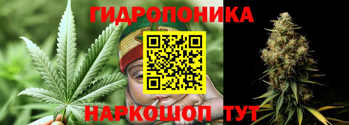 Конопля THC 21% Кострома